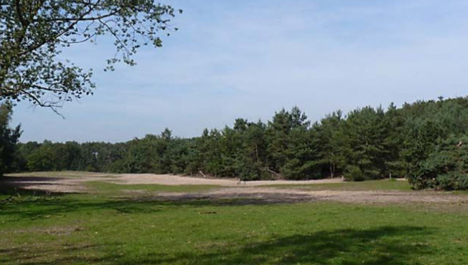 Ruiterpaden in het Bergharens bos. Hier vind je duinen en bos om met je paard te rijden.